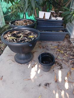 Pots Planters Seed Starters Red Cedar Chip Potting Soil