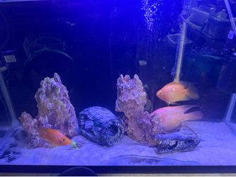 Aquarium