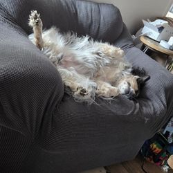 Must go furniture