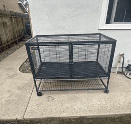 Pet Crates in Various Sizes – A Safe Retreat for Every Animal! believe political