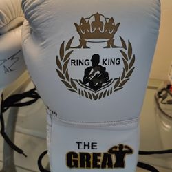 DEVON ALEXANDER BOXING GLOVES 