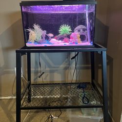 Fish Tank With Shelf 