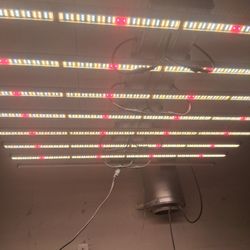 Led Light