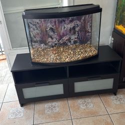 Curved Front fish Tank And Stand.