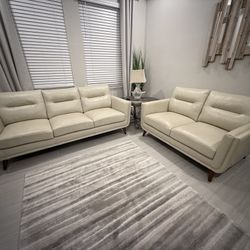 Sofa and Loveseat Couches 