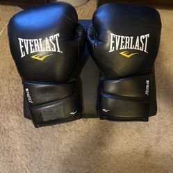 Everlast Boxing Gloves 