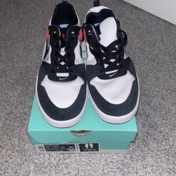 Nike SB Alleyoop
