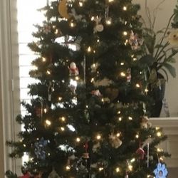9 Foot LED Pre-lit Grand Duchess Slim Pine Tree