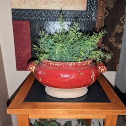 Large Red Glazed Bonsai Planter With Fern