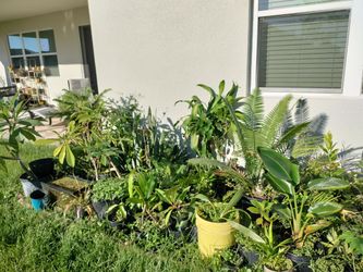 Selling Most Of My Inventory!