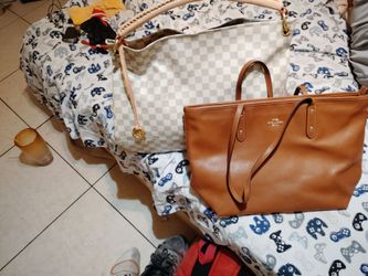 Coach/Louis Vuitton bags