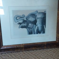 Elephant Picture