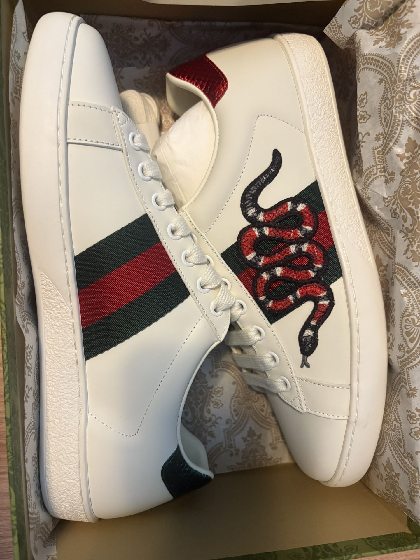 Gucci Ace Snake Eu 43