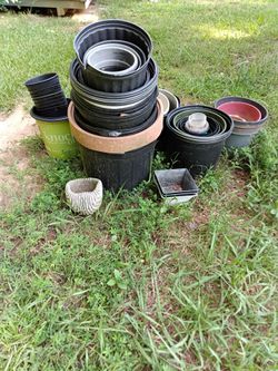 Free Plant Pots