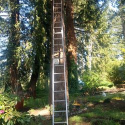 Werner 24 Ft Extension Ladder