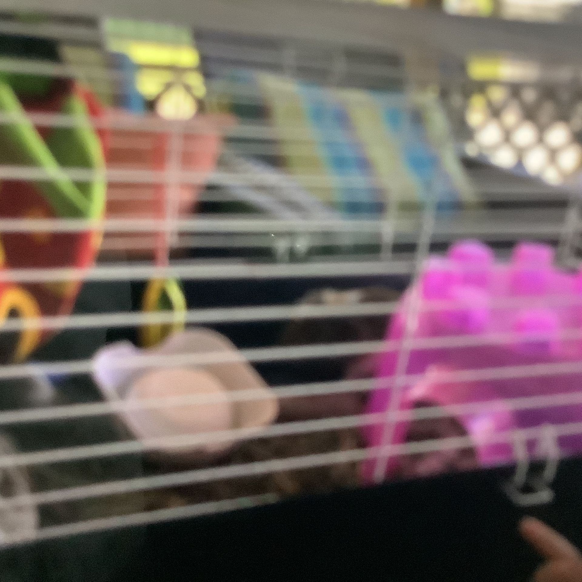 Guinea Pig Cage And Everything 60
