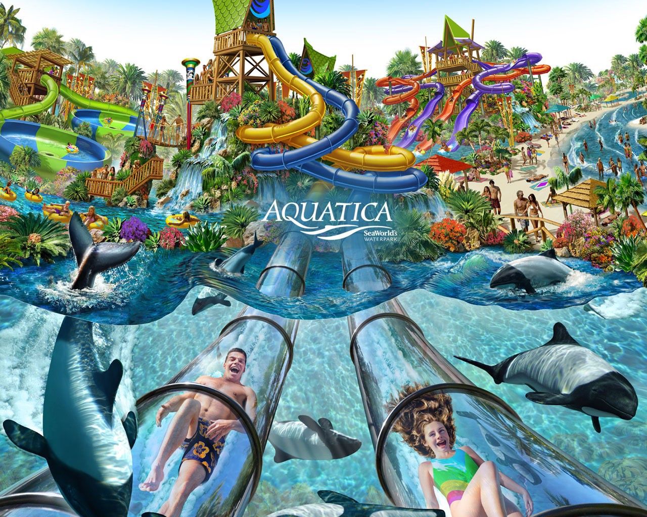 Seaworld Aquatica 