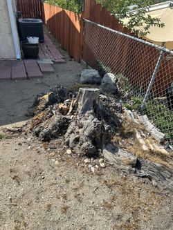 Stump Removal