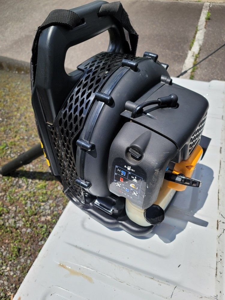 BackPack leaf blower