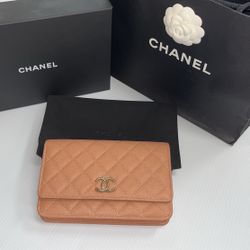 Chanel Purse, With Store Bag, Box And Dust Bag, In Great Condition, Entrupy Verified 