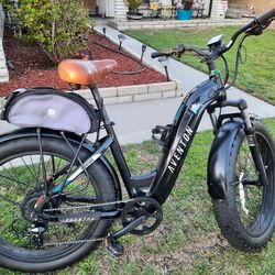Electric E Bike 