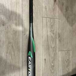 Easton Bat