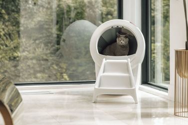 Litter Robot 4 with Hopper & Stairs / Ramp