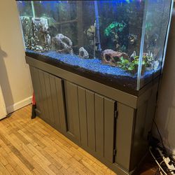 Fish Tank For Sale 60 Gallon 