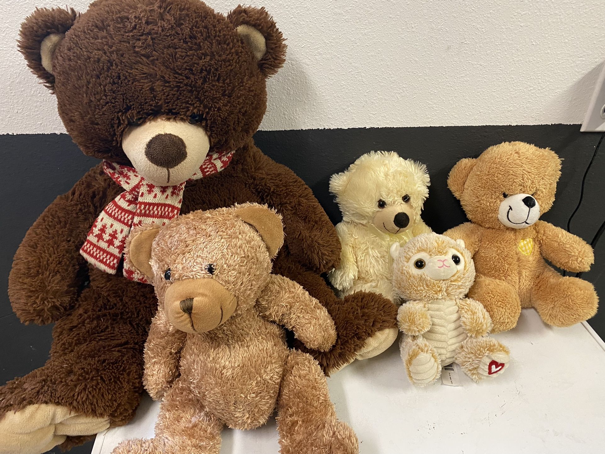 5 Teddy Bear