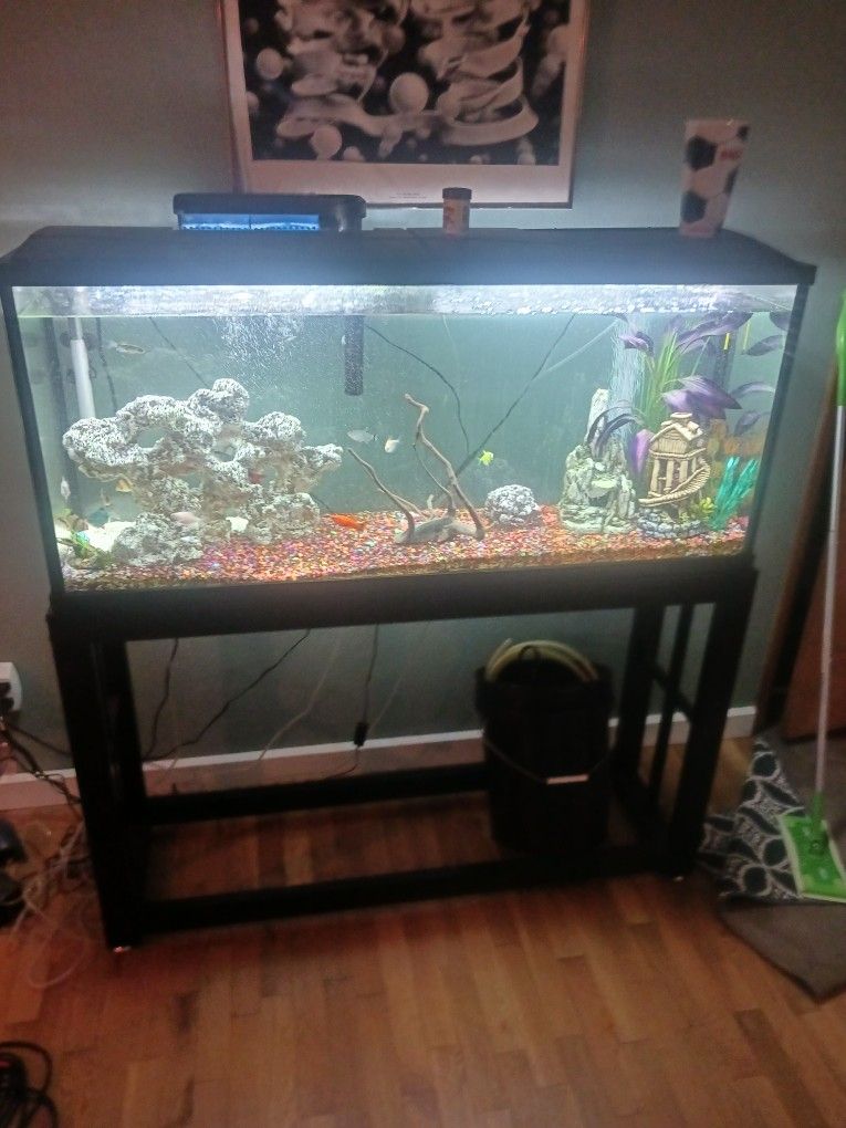 55 Gallon Fish Tank With Stand