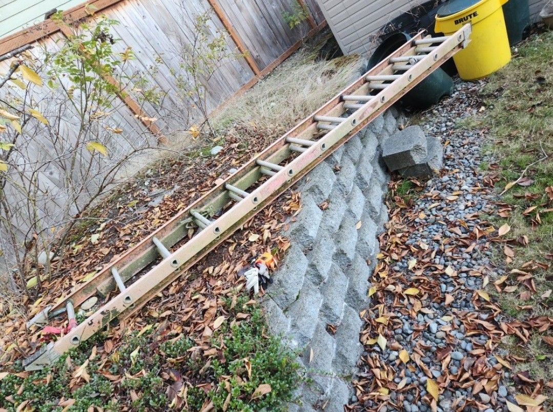 Werner 24 ft. Fiberglass Extension Ladder with 300 lbs. Load Capacity Type IA Duty Rating