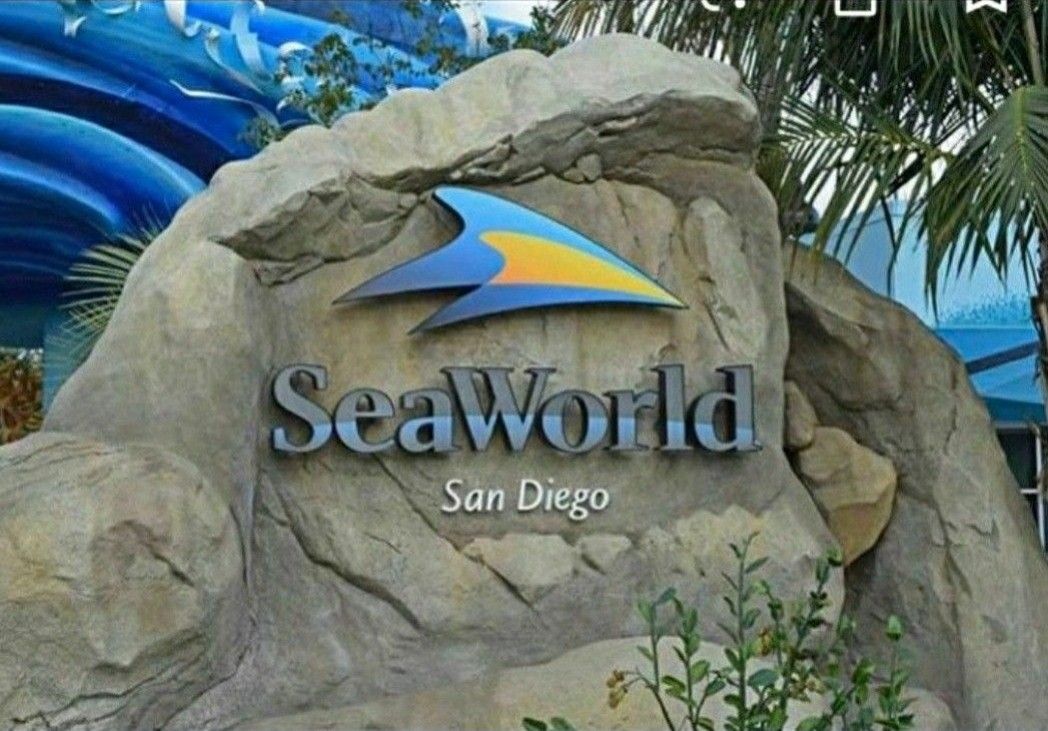 Sea World Ticket