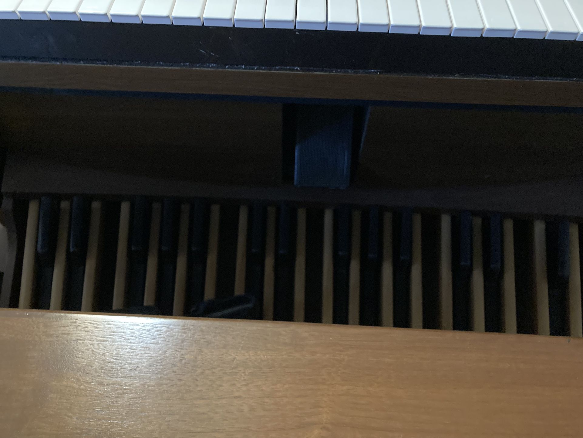 Rodgers C-440 Two Manual Organ