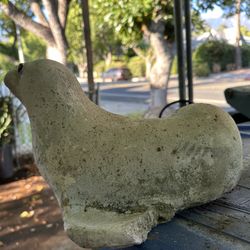 The Wounded Seal