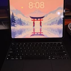 13inch M4 iPad Pro 256gb WiFi 