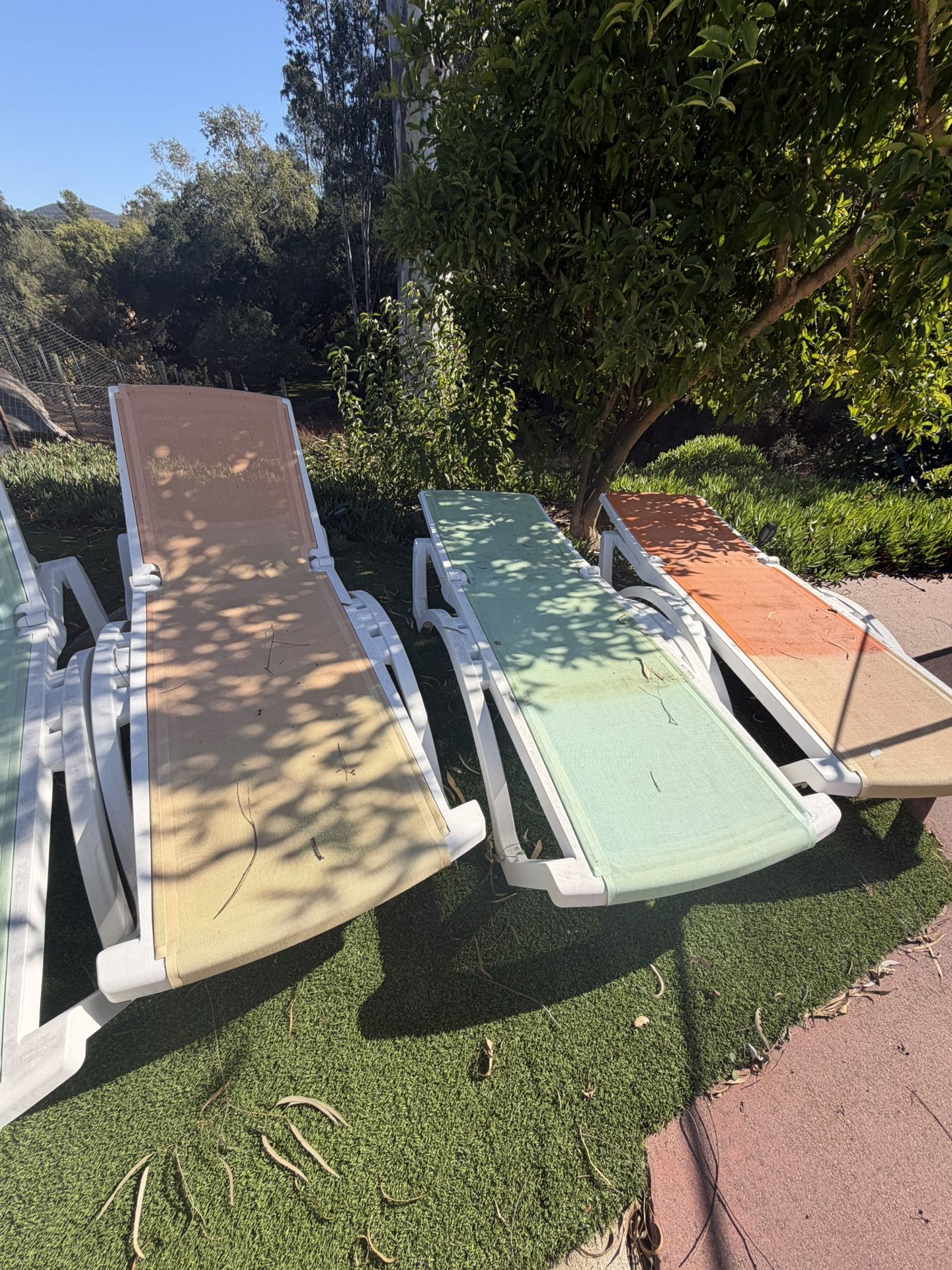 Chaise Lawn Chairs - FREE