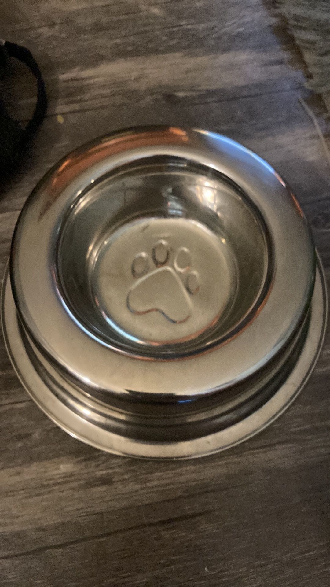 Small Stainless Steel Dogs Bowl
