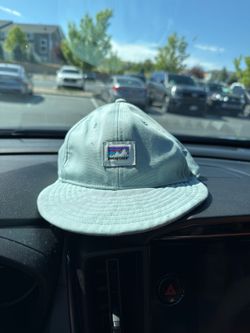 Patagonia hat