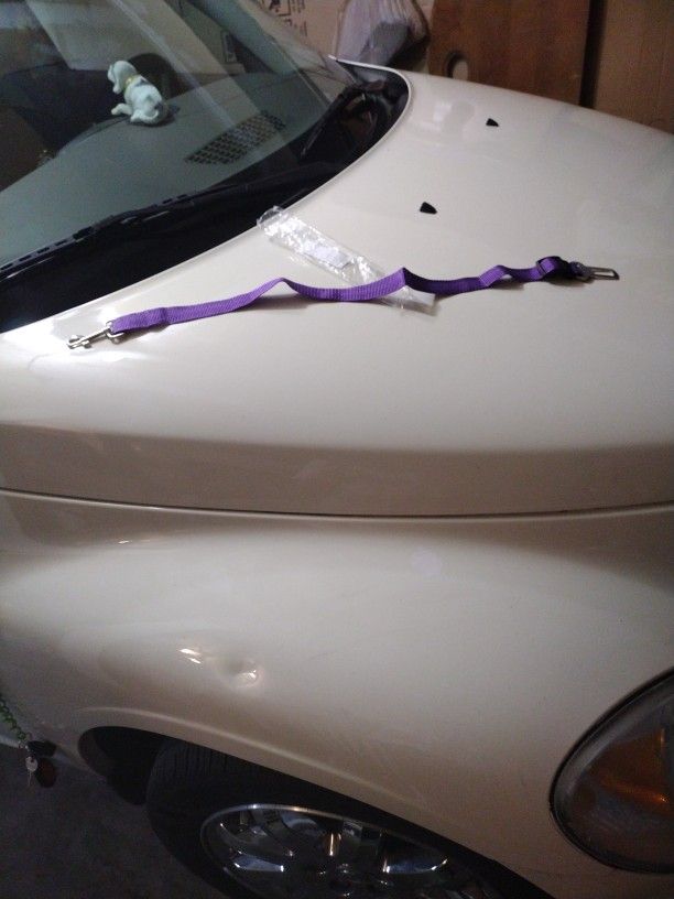 Doggy Car Seat Restrainer Goes Around There Headrest Brand New