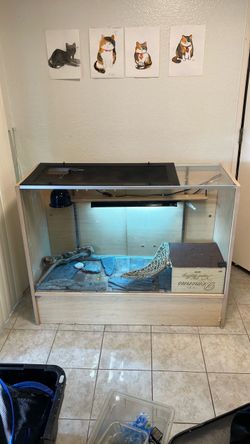 Reptile enclosure