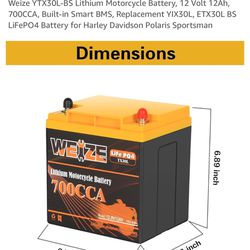 Weize YTX30L-BS Lithium Motorcycle Battery, 12 Volt 12Ah, 700CCA, Built-in Smart BMS, Replacement YIX30L, ETX30L BS LiFePO4 Battery for Harley Davidso