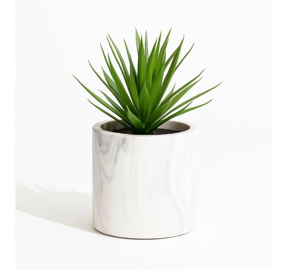 Farmhouse Faux Plant & Mango Wood Pedestal Stand – Set for Home or Office Decor