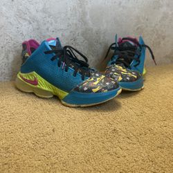 Nike Lebron Shoes
