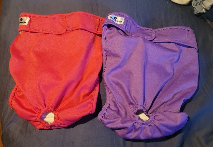 Doggy Diapers XL