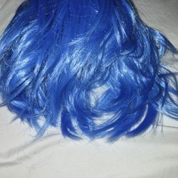 Brand New Blue Hair Wig