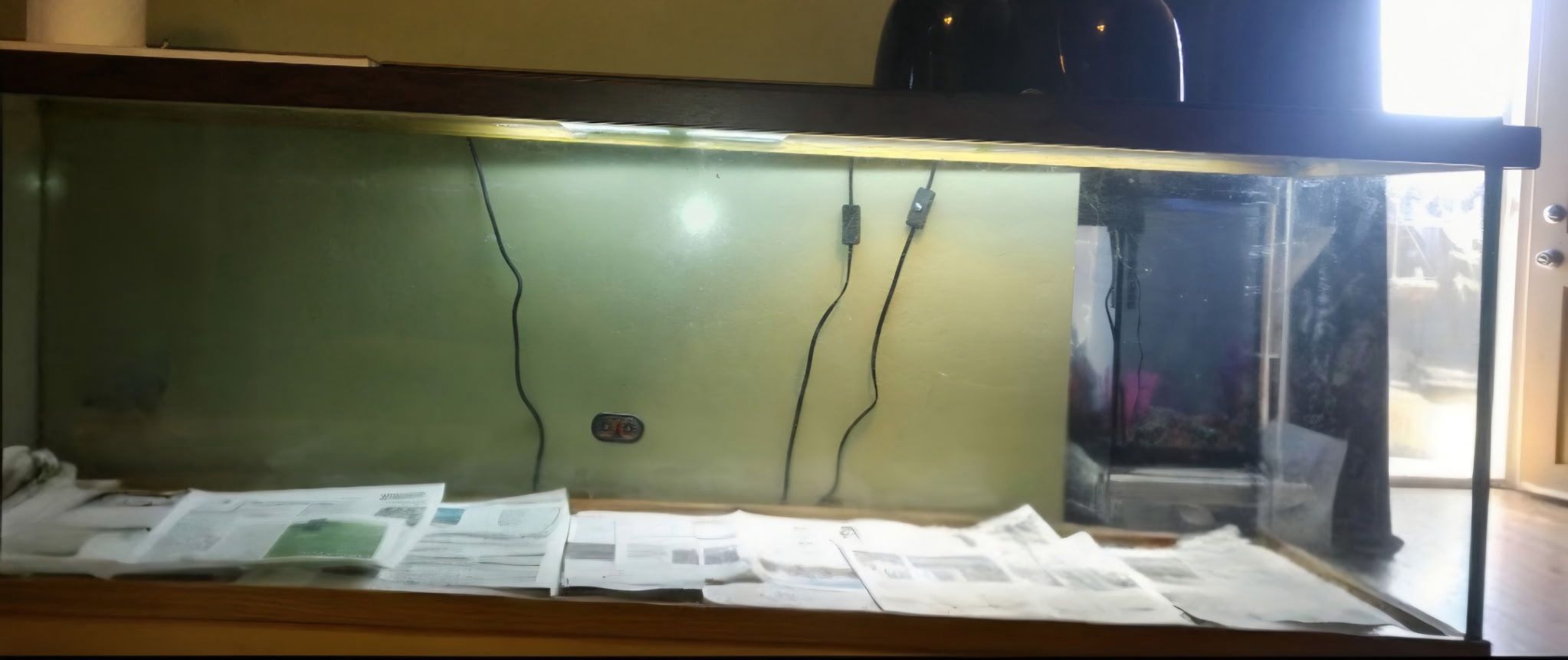 125 gallon reptile tank.