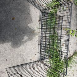 Big Dog Cage 
