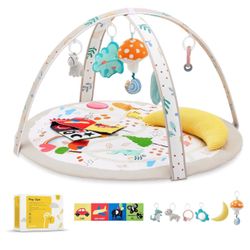 Baby Play Gym