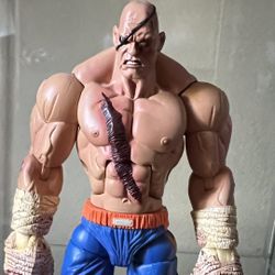 Sota Street Fighter Sagat