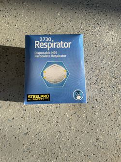 Disposable N95 Mask